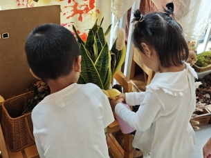 Image_1759738420474