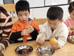 866b8c8fd000bb2be65c3832cda9db1b