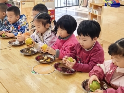 e41ac8cf9aacb79c2270a7bcd7244c7f