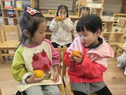 FDC917C3ECA0536464214F359D77EA39