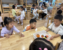 877BE7F65AB3D9029C13E5C7E32DDF56