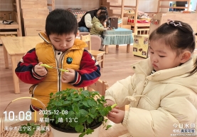 IMG_20251208_100810364