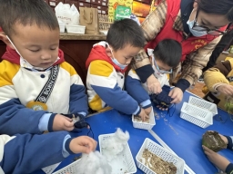 1f8efe6befb20a82c39ac8b52855c9ed